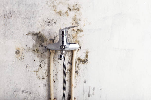 Best Mold Remediation for Schools in Aitkin, MN