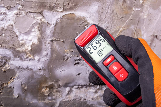 Best Bathroom Mold Remediation in Aitkin, MN