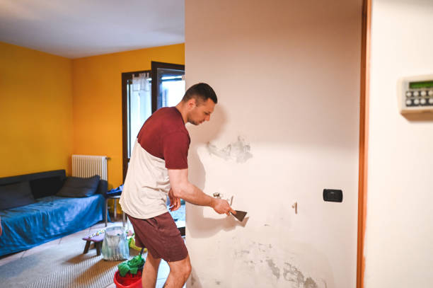 Best HVAC Mold Remediation in Aitkin, MN